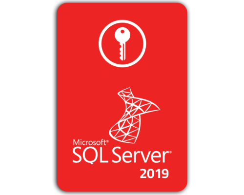 SQL SERVER 2019 standard SQL SERVER 2019 standard